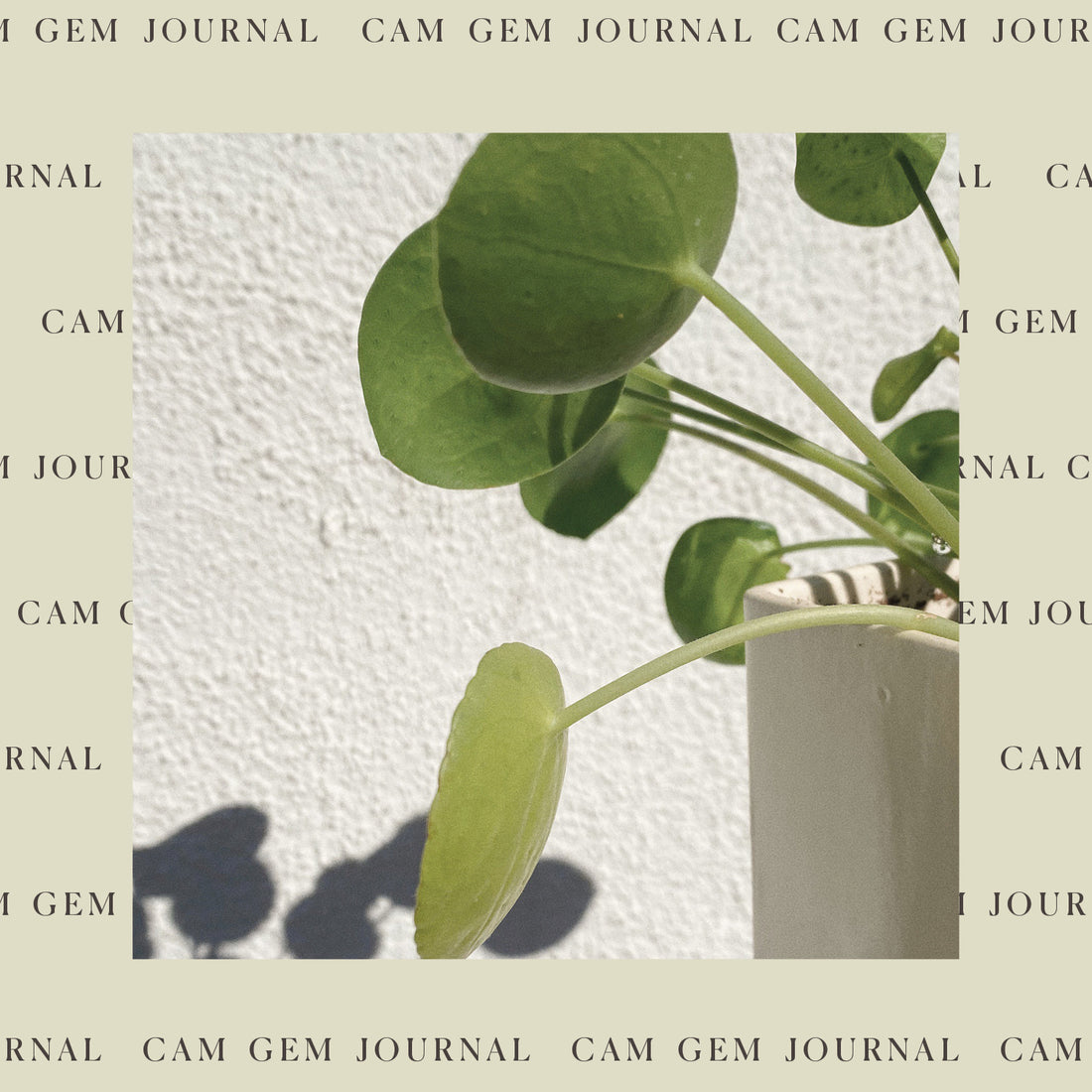 2020 Garden Journey