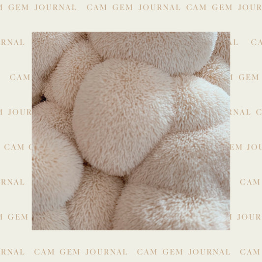 CAM Gem Journal - Growth